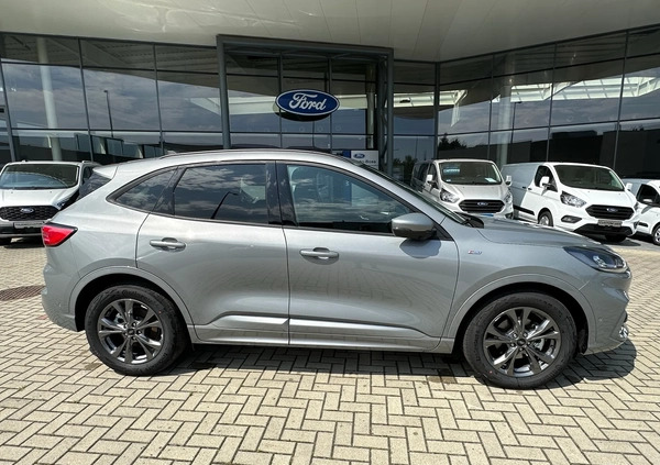 Ford Kuga cena 129900 przebieg: 1, rok produkcji 2022 z Braniewo małe 79